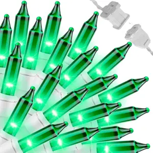 LAMPHOME 2-Pack Green St Patrick's Day String Lights 100 Count 19.6 Feet Incandescent Mini Lights Each Green Wire for Indoor Christmas Tree Garland Birthday Wedding Party Festival Decor
