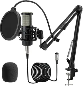 Condenser XLR Microphone, Professional Cardioid Recording Microphone Kit with 25mm Diaphragm for Streaming, Podcasting, Singing, Vocal, Studio Mic with Boom Arm, Pop Filter (AC22)