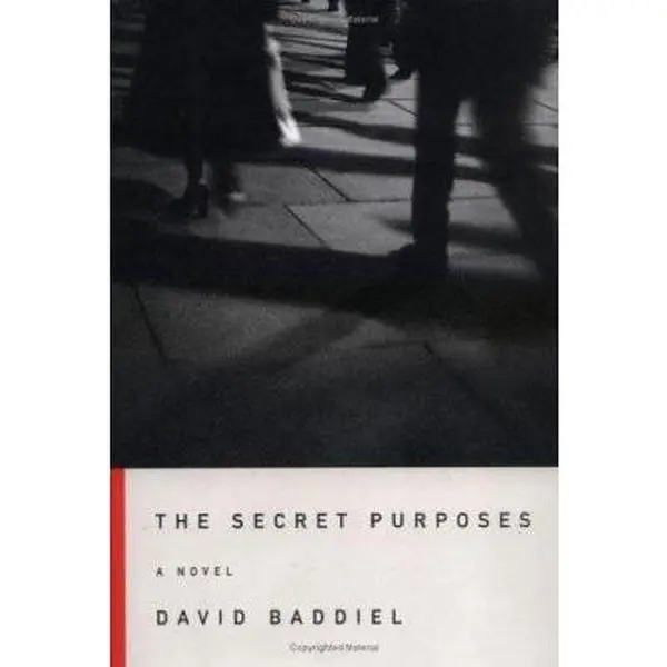 USED Book - The Secret Purposes: A Novel by David Baddiel (Hardcover) - english