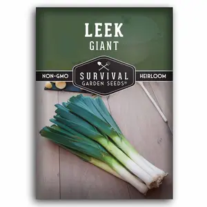 Giant Leek Seeds - All American Award Winner