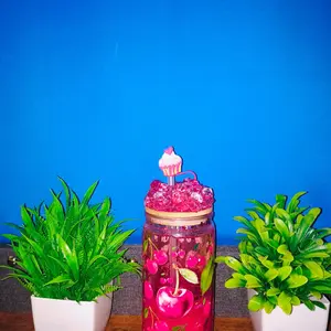 snowglobe personalized Water Bottles Reusable Cup Tumbler Washable Portable Bottled