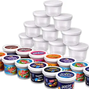 12 Pack – Assorted Decorative Ice Cream Pint Style Plastic Storage Containers - Random Designs