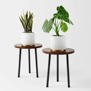 Indoor Plant Stand 2 Pack, Corner Wood 20 Inch Plant Stand, Mid-Century Modern Decor, Small Round Plant Table for Indoor Plants, Plant Holder for Patio, Living Room, Bathroom, Office