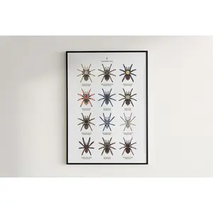 Posters (Wholesale)