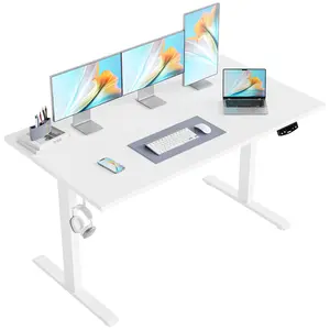 Agilestic 47.2 Inch Electric Height Adjustable Standing Desk, Ergonomic Home Office Desk with Memory Preset, Sit to Stand Computer Desk with Hooks