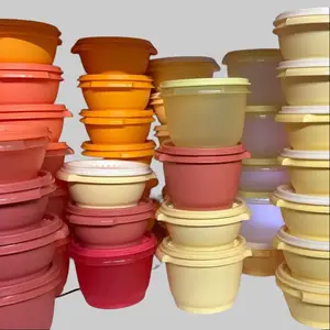 Tupperware Servalier Bowls 10oz and 20oz.  Classic style, perfect sizes for small storage.