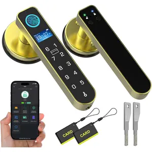 Door Knob Lock with Display Screen, Biometric Door Lock with Code Door Handle for Bedroom Home Hotel Office Apartment - Gold