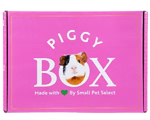 The Piggy Box