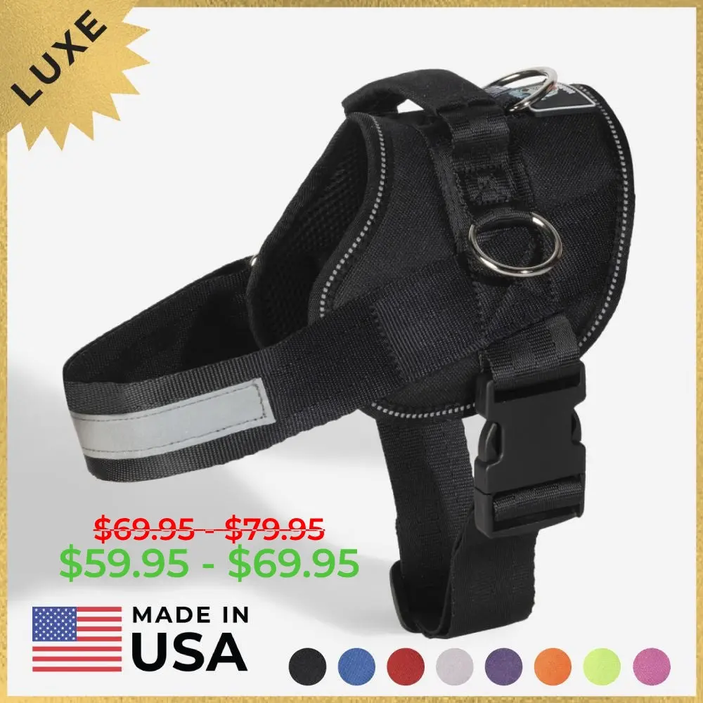 Joyride LUXE Dog Harness - Made in the USA, Premium Mesh Fabric, 3 Leash Attachment Points, Side Rings, Reflective Elements, Multi-Size for Small/Large Dogs, Safety Enhancement