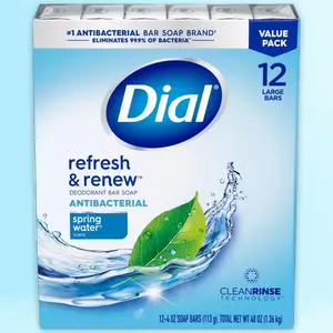 Dial Antibacterial odorant Spring Water Bar Soap - 12pk - 4oz each