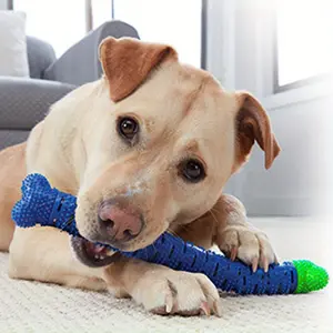 Durable Dog Bite Toys, Indestructible Teeth Cleaning Stick, Non-Sponge Rubber, Puppy Teething Chew Toy for All Breeds