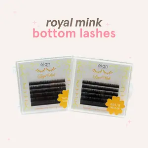 BOTTOM LASHES mini tray