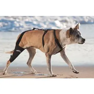 The Walkabout Knee Brace