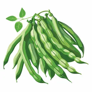 Cantare Bush Bean