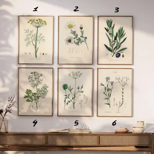 Set of 6 Botanical Print, Set of 6 Vintage Prints, Set of 6 botanical Fern Prints, Modern Flower wall art, Gift print, Home Decor print