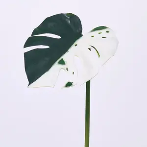 Variegated Green & White Monstera Deliciosa Albo Leaf Single Stem Tropical Spray - 22"