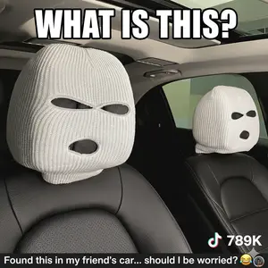 Balaclava Headrest Covers (2-Pack)