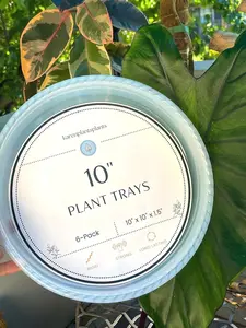 Plant Drip Tray Saucer Cache Pot | karenplantsplants