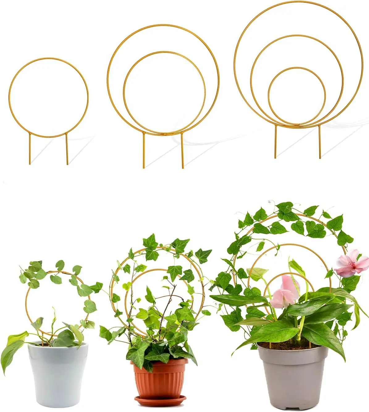 Round Hoya Trellis, 3 count Different Small Houseplant Trellis for Indoor Climbing , Garden Trellis  Support for Potted Ivy and  Outdoor()