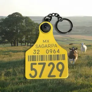 Cowtag Keychain / Llavero Arete de Vaca Double Sided (Doble Vista) Aunthentic