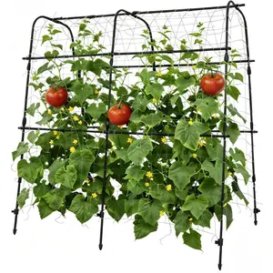 Garden Arch Trellis, Heavy Duty u-Shape Plant Support for Raised Beds, Black Metal Vertical Climbing Frame for Vegetables, Fruits & Flowers, Weather-Resistant, Easy Assembly