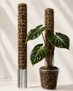PropStake 14" | Galvanized Steel Starter Moss Pole for Climbing Plants