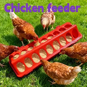 Chicken Multi-Hole Feeder Box, Small Chicken Brooder Feed Tray, Long Strip Multi-Hole Bird Feeding Device, Anti-Scramble Chicken Slot