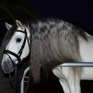 English Snaffle Bridle – Genuine Leather (Full Size Adjustable)