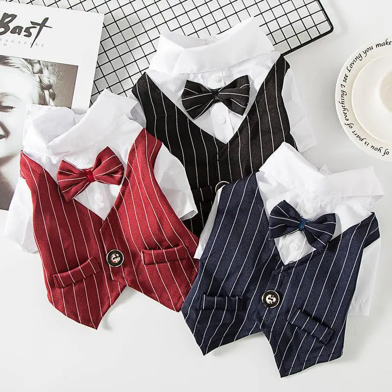 Petite Pup Couture: Stylish Suit for Small Dogs