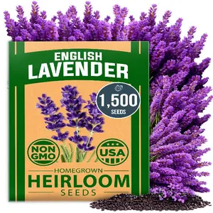Premium English Lavender Seeds, 1500 Non-GMO Herb Seeds, USA-Sourced Wildflower Seed for Planting Indoor/Outdoor, High Germination, Plant Flower Seeds (Lavandula antustifolia)