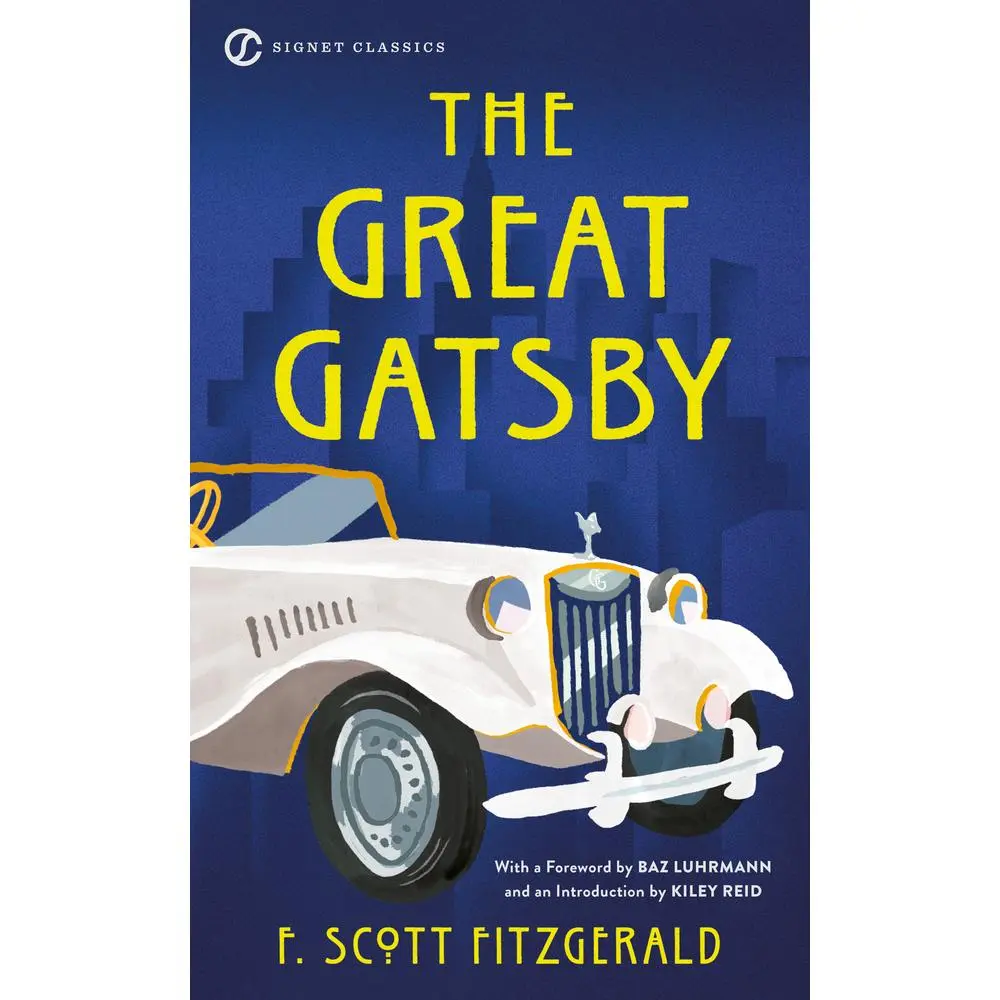 Used Literature Book - The Great Gatsby by F. Scott Fitzgerald (2021 Edition Softcover Fiction Book, 224 Pages, English Language), Fiction Books