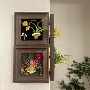 Decorative Wooden  with Lucky Green Plants – Perfect for Tabletop Display, Seasonal Decor, or as a Gift Ornate Black Picture  Classic Square Picture  Set thrifted frames