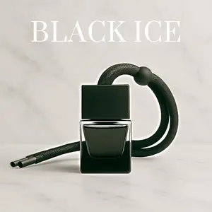 Hanging Air Freshener - Clean Air Co. - Black Ice, Leather, Cologne, and More - No Labels - For Cars and Trucks - Long Lasting