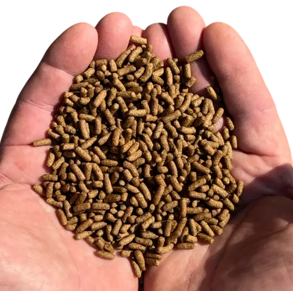 42% Advanced High Protein Pond or Lake Fish Feed (40 lb Bag) - Edge's Fish Smack