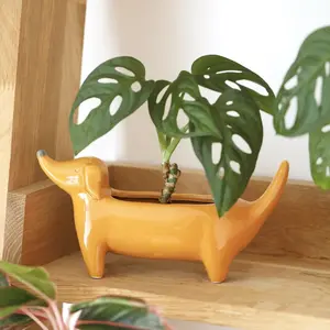 Orange Dachshund Weiner Dog Planter