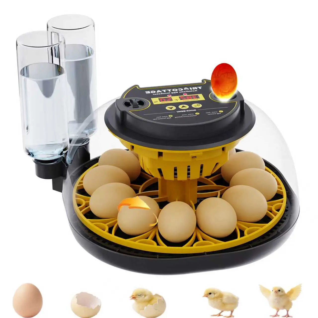 Chicken Incubator With Automatic Egg Turning, 12 Egg, Home Incubator with Temperature Control & Humidity Display Egg Candler External Water Auto Fill, Incubadora de Huevos, Hatching Eggs Chicken Chicks Quail Birds Duck at Home Backyard Farm