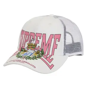 Supreme Crest Mesh Back 6-Panel, from StockX