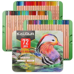 Soft Pastel Colored Charcoal Pencil Set, 50/72pcs Colored Pencil with Tin Box, Shading Pencil for Beginners & Pro Artists