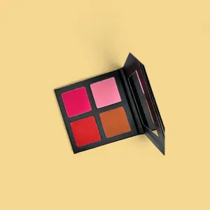 The Basic Blush Makeup Pallet