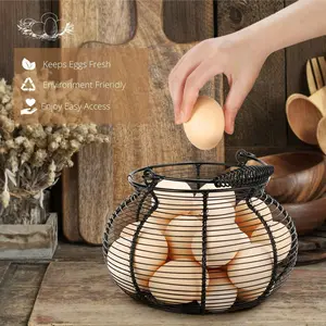 Round Wire Egg Basket with Durable Frame and Side Mesh, Farmhouse Style Modern Egg Storage Box, Kitchen Chicken Coop Food Storage