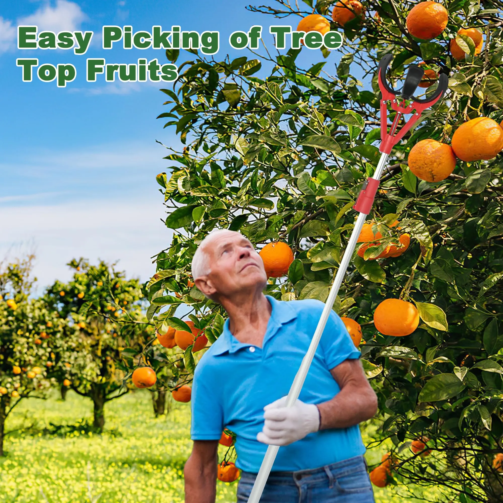 Telescopic Fruit Picker 114-170cm Adjustable Length, Non-Slip Grip Fruit Harvest Pole, Heavy Duty Aluminum Alloy Garden Picker for Apple Orange Cherry Pear Lemon Plum, Home & Commercial Gardening Tool