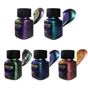 35g Chameleon Paint Set, Acrylic Art Kit, 5 Colors Metallic Acrylic Paints, Adjustable Colors, Ideal for DIY Projects, Crafts, Leather, Rocks, Ceramics, Furniture, Garden Decor, DIY Painting Supplies