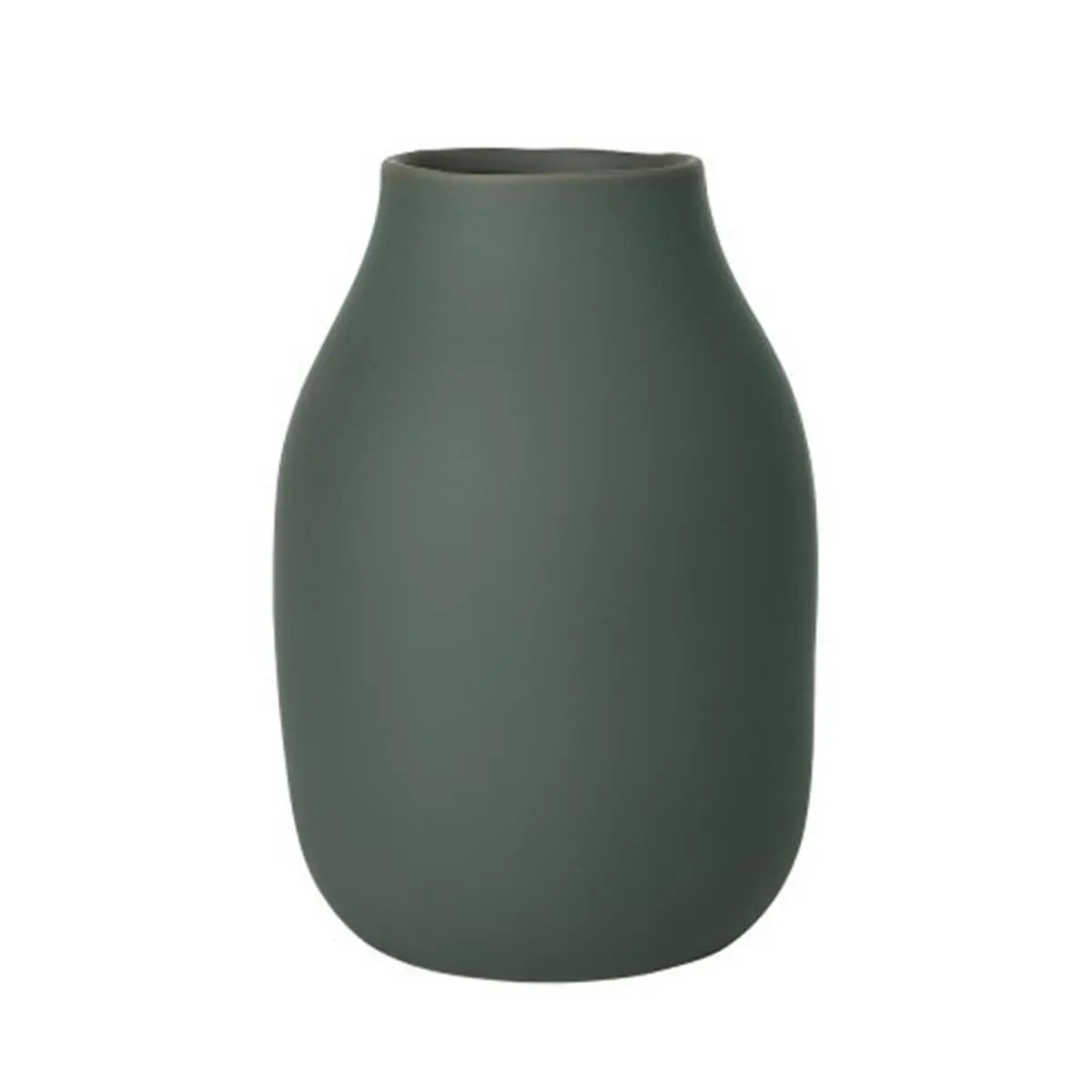 212 MAIN Blomus Colora Series Contemporary Modern Porcelain Vase - Matte Finish, Soft Curve, 20x6 in Agave Green, Home Decor Accessory for Flowers & Home Styling