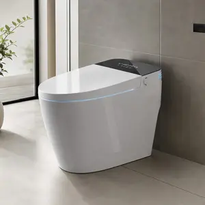 ARCH Tankless Smart One-Piece Toilet with Bidet Built-In, Auto Open/Close, Heated Seat, Warm Water & Dry, Remote Control, White+Black Ceramic Modern Bathroom Toilet, 15.75W x 26.77D x 18.11H Inches, White+Black Color Options, Ceramic Material