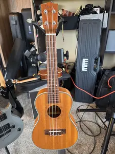 concert ukulele converted to dulcimer