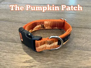 Orange Dog Collar with Pumpkins
