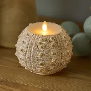 White Sea Urchin Shell Flameless Candle