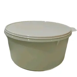 Mega Fridge Container storage container