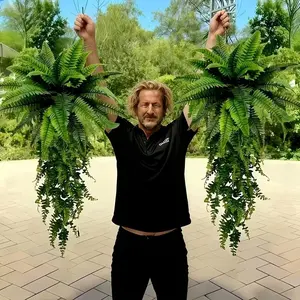 Large Boston Fern Plants & Hanging Set of 2, Outdoor Garden Decor, No Maintenance, Ideal for Festivals, Weddings, Anniversaries