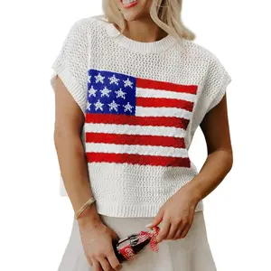 Flag Graphic Short Sleeve Sweater Top